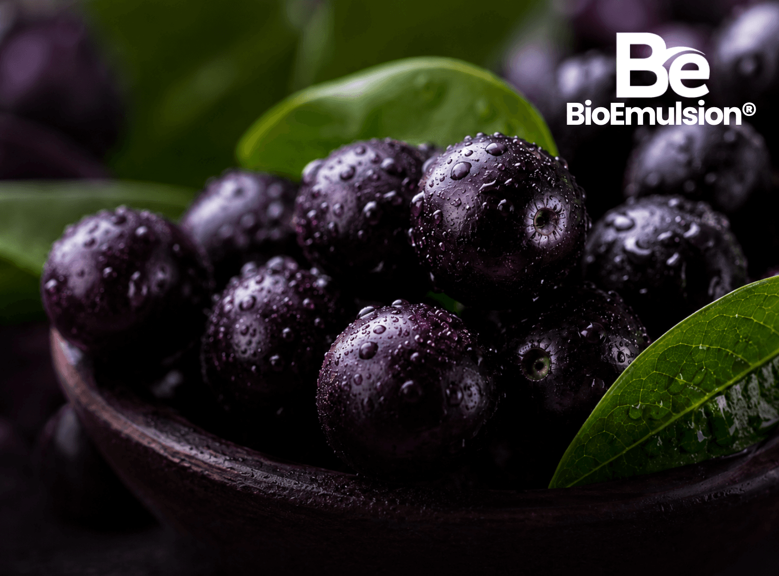 BioEmulsion® Açaí