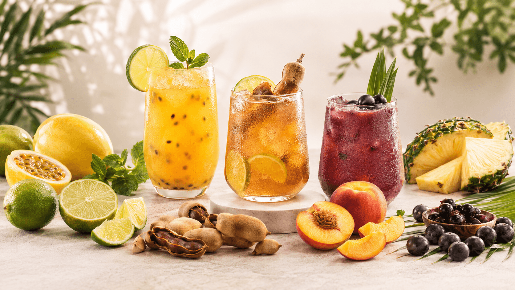 Bebidas funcionales 2026 by Bioingred®